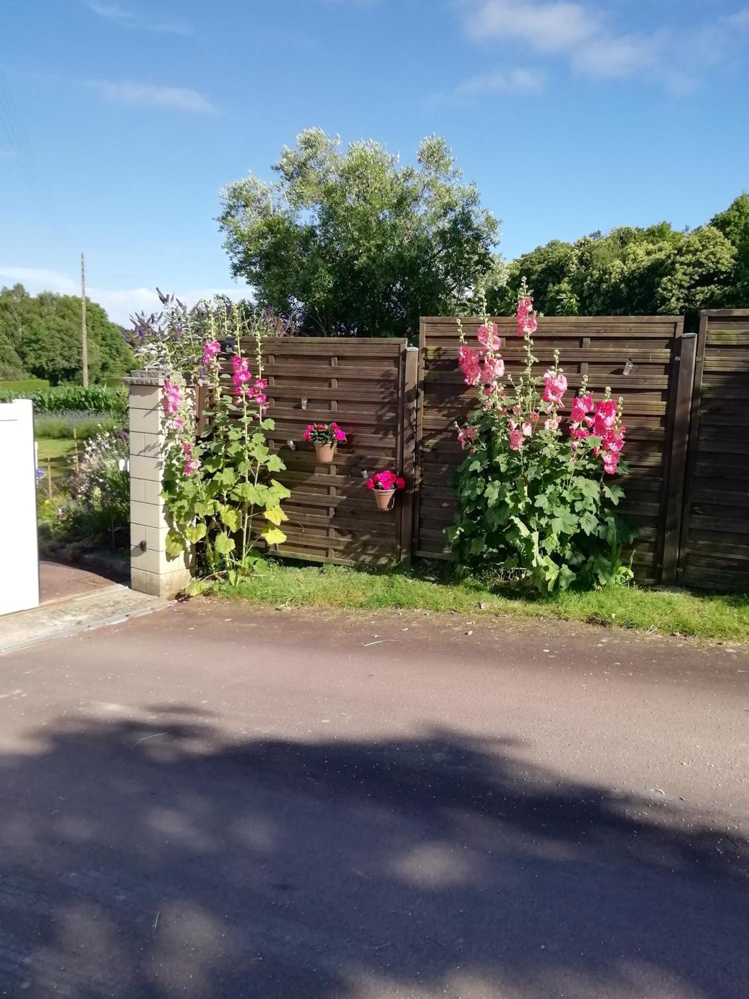 Béganne Kerlan B&B 외부 사진
